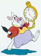 conejo blanco.jpg